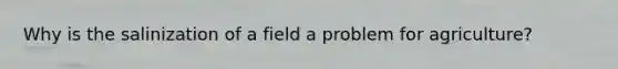 Why is the salinization of a field a problem for agriculture?