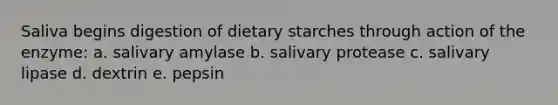 Saliva begins digestion of dietary starches through action of the enzyme: a. salivary amylase b. salivary protease c. salivary lipase d. dextrin e. pepsin