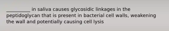 __________ in saliva causes glycosidic linkages in the peptidoglycan that is present in bacterial cell walls, weakening the wall and potentially causing cell lysis