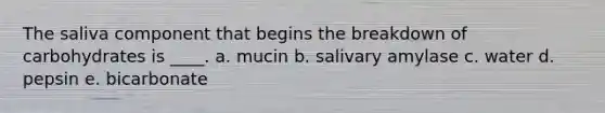 The saliva component that begins the breakdown of carbohydrates is ____. a. mucin b. salivary amylase c. water d. pepsin e. bicarbonate