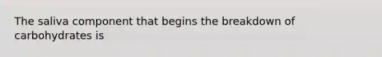 The saliva component that begins the breakdown of carbohydrates is