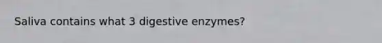 Saliva contains what 3 digestive enzymes?