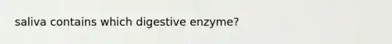 saliva contains which digestive enzyme?