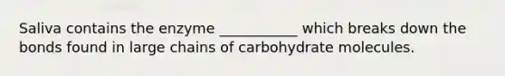 Saliva contains the enzyme ___________ which breaks down the bonds found in large chains of carbohydrate molecules.