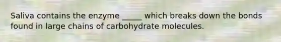 Saliva contains the enzyme _____ which breaks down the bonds found in large chains of carbohydrate molecules.