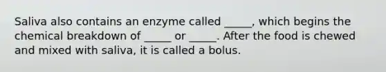 Saliva also contains an enzyme called _____, which begins the chemical breakdown of _____ or _____. After the food is chewed and mixed with saliva, it is called a bolus.