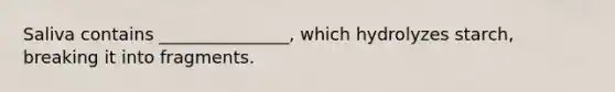 Saliva contains _______________, which hydrolyzes starch, breaking it into fragments.