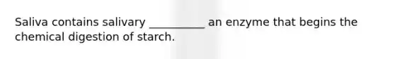 Saliva contains salivary __________ an enzyme that begins the chemical digestion of starch.