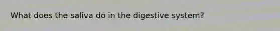 What does the saliva do in the digestive system?