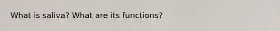 What is saliva? What are its functions?