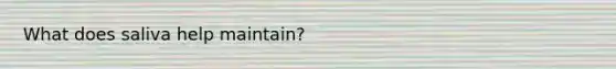 What does saliva help maintain?