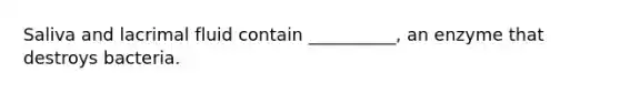 Saliva and lacrimal fluid contain __________, an enzyme that destroys bacteria.