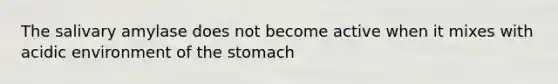 The salivary amylase does not become active when it mixes with acidic environment of the stomach