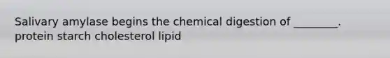 Salivary amylase begins the chemical digestion of ________. protein starch cholesterol lipid