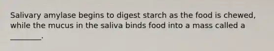 Salivary amylase begins to digest starch as the food is chewed, while the mucus in the saliva binds food into a mass called a ________.