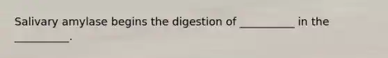 Salivary amylase begins the digestion of __________ in the __________.