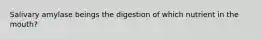 Salivary amylase beings the digestion of which nutrient in the mouth?