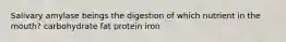 Salivary amylase beings the digestion of which nutrient in the mouth? carbohydrate fat protein iron