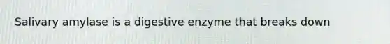 Salivary amylase is a digestive enzyme that breaks down