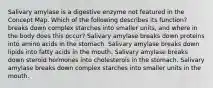 Salivary amylase is a digestive enzyme not featured in the Concept Map. Which of the following describes its function? breaks down complex starches into smaller units, and where in the body does this occur? Salivary amylase breaks down proteins into amino acids in the stomach. Salivary amylase breaks down lipids into fatty acids in the mouth. Salivary amylase breaks down steroid hormones into cholesterols in the stomach. Salivary amylase breaks down complex starches into smaller units in the mouth.