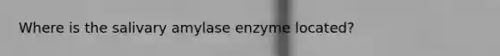 Where is the salivary amylase enzyme located?