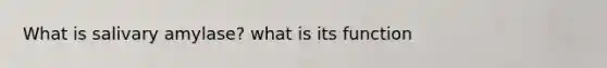What is salivary amylase? what is its function