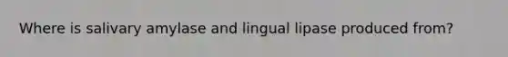 Where is salivary amylase and lingual lipase produced from?