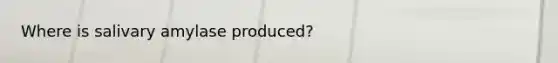 Where is salivary amylase produced?