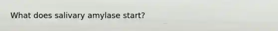 What does salivary amylase start?