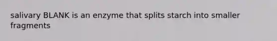 salivary BLANK is an enzyme that splits starch into smaller fragments