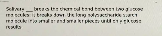 Salivary ___ breaks the chemical bond between two glucose molecules; it breaks down the long polysaccharide starch molecule into smaller and smaller pieces until only glucose results.