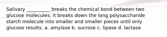 Salivary __________ breaks the chemical bond between two glucose molecules; it breaks down the long polysaccharide starch molecule into smaller and smaller pieces until only glucose results. a. amylase b. sucrose c. lipase d. lactase