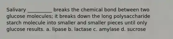 Salivary __________ breaks the chemical bond between two glucose molecules; it breaks down the long polysaccharide starch molecule into smaller and smaller pieces until only glucose results. a. lipase b. lactase c. amylase d. sucrose