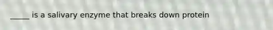 _____ is a salivary enzyme that breaks down protein