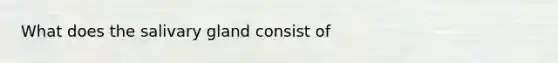 What does the salivary gland consist of