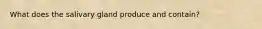 What does the salivary gland produce and contain?