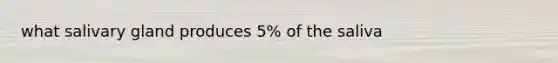 what salivary gland produces 5% of the saliva