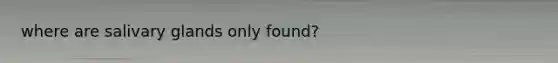 where are salivary glands only found?