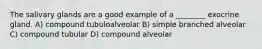 The salivary glands are a good example of a ________ exocrine gland. A) compound tubuloalveolar B) simple branched alveolar C) compound tubular D) compound alveolar