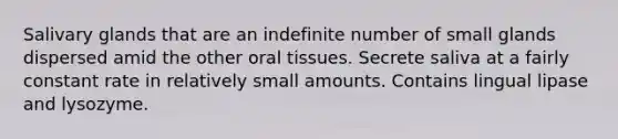 Salivary glands that are an indefinite number of small glands dispersed amid the other oral tissues. Secrete saliva at a fairly constant rate in relatively small amounts. Contains lingual lipase and lysozyme.