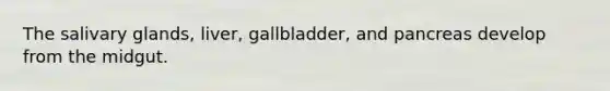 The salivary glands, liver, gallbladder, and pancreas develop from the midgut.