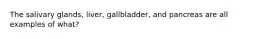 The salivary glands, liver, gallbladder, and pancreas are all examples of what?