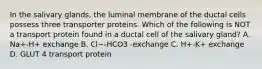 In the salivary glands, the luminal membrane of the ductal cells possess three transporter proteins. Which of the following is NOT a transport protein found in a ductal cell of the salivary gland? A. Na+-H+ exchange B. Cl−-HCO3 -exchange C. H+-K+ exchange D. GLUT 4 transport protein