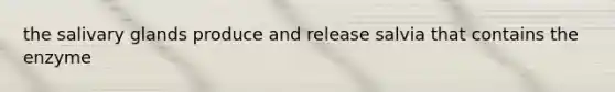 the salivary glands produce and release salvia that contains the enzyme