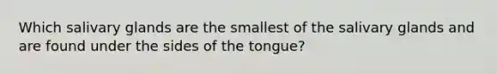 Which salivary glands are the smallest of the salivary glands and are found under the sides of the tongue?