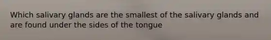 Which salivary glands are the smallest of the salivary glands and are found under the sides of the tongue