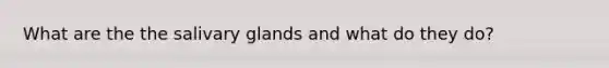 What are the the salivary glands and what do they do?