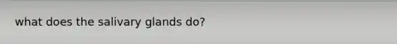 what does the salivary glands do?
