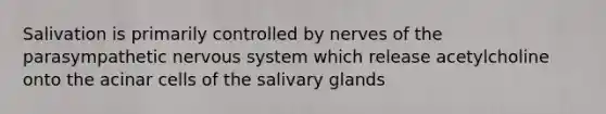 Salivation is primarily controlled by nerves of the parasympathetic nervous system which release acetylcholine onto the acinar cells of the salivary glands