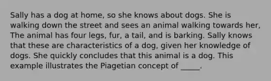 Sally has a dog at home, so she knows about dogs. She is walking down the street and sees an animal walking towards her, The animal has four legs, fur, a tail, and is barking. Sally knows that these are characteristics of a dog, given her knowledge of dogs. She quickly concludes that this animal is a dog. This example illustrates the Piagetian concept of _____.